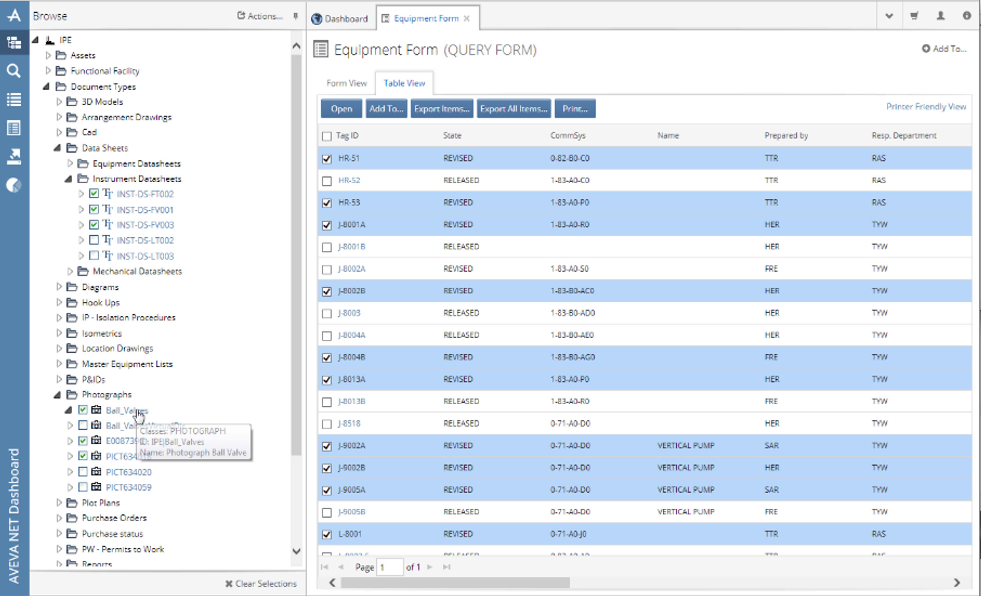 AVEVA Asset Information Management Equipment Form